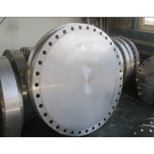 Weld Neck & Blinds Flanges